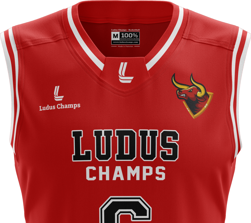 Hero basketball jersey torso top view by luldus champs